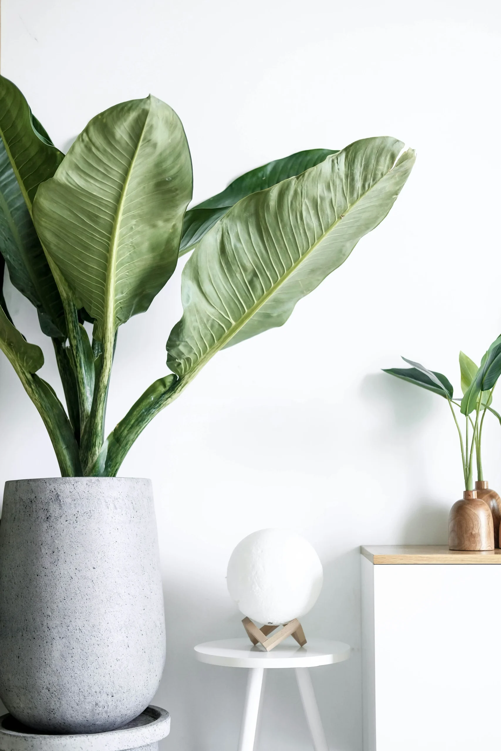Home 1 Therapy for anxiety in New York and Florida